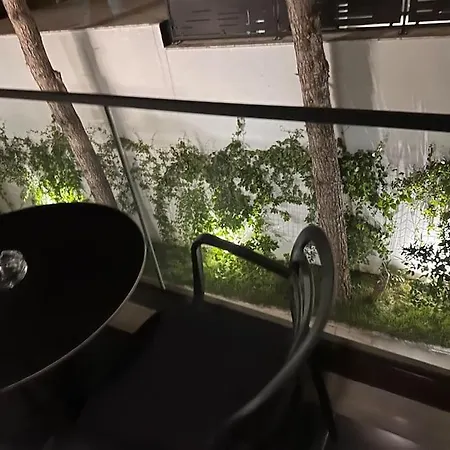 Cd 别墅 格勒姆