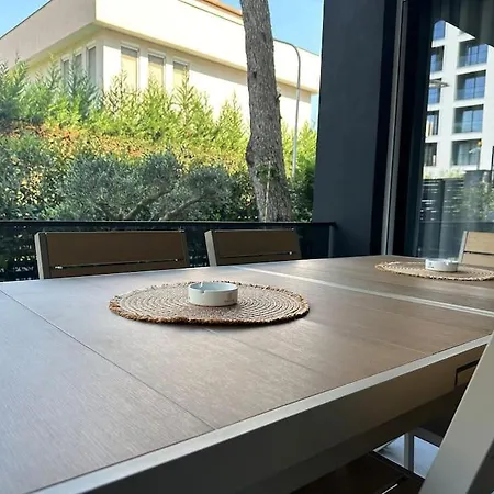 Cd גולם