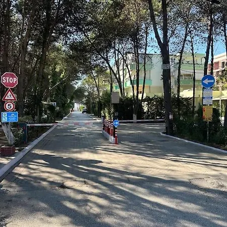 Cd Golem (Tirana)